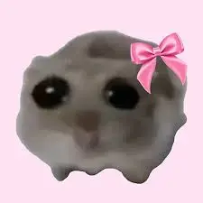 Sad Hamster with Bow meme template
