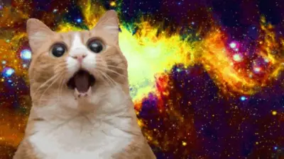 Caturday meme template