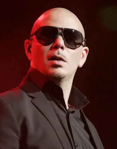 Pitbull meme template