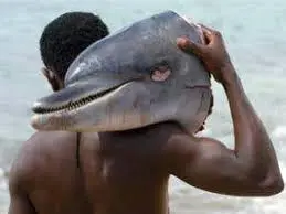 POV WHEN SHE TOUCH YO DOLPHIN DINGALING meme template