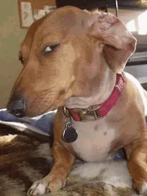WHEN YOU ASK YOUR SISTER IF SHE STOLE YOUR CLOTHES AND SHE SAYS "NO" - BUT YOU SAW IT IN HER LAUNDRY meme template