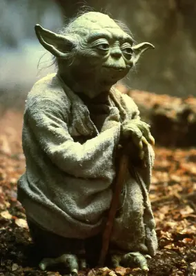 Yoda Quadri meme template