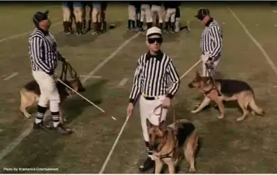 refs? meme template