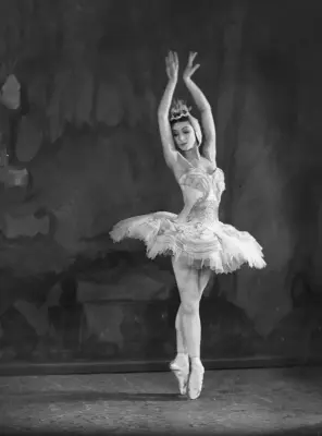Ballet meme template