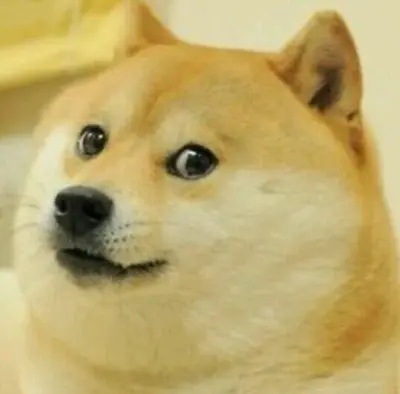 Much wow meme template