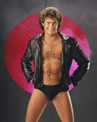 Hasselhoff meme template