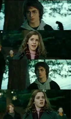 Harry meme template