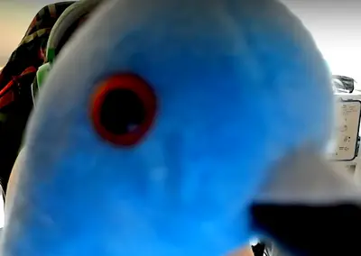 ARE U AGAIN GOONING HMM? meme template