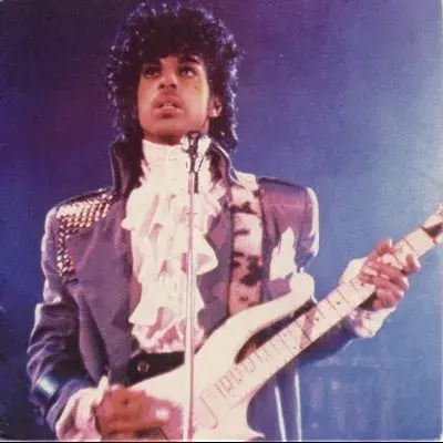 Prince meme template