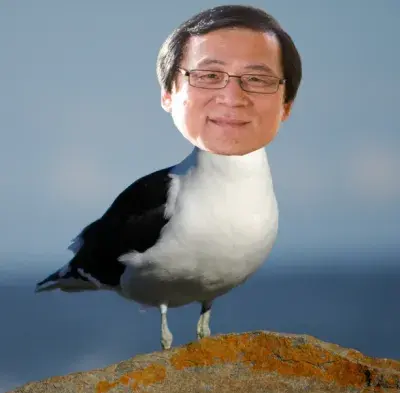 Sukhee Kang seagull meme template