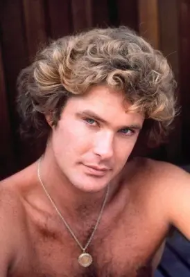 hasselhoff meme template