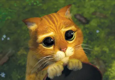 PLEASE - PUT YOUR HANDS ALL OVER ME meme template