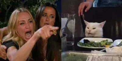 Lady screaming and cat meme template