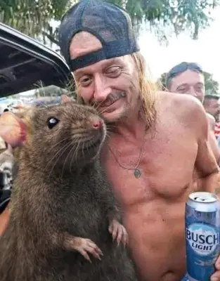 HOW THE HANTAVIRUS STARTED meme template