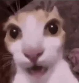 A U A meme template