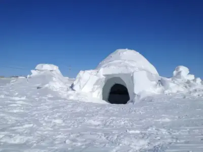 igloo meme template
