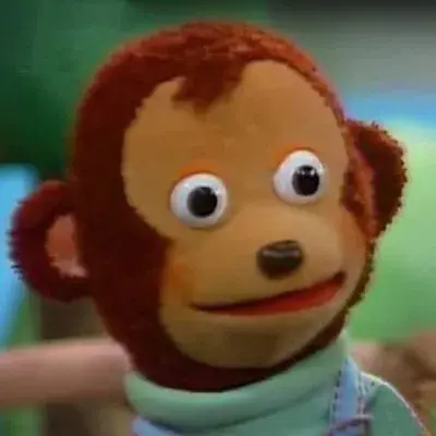 SORPRENDENTE meme template