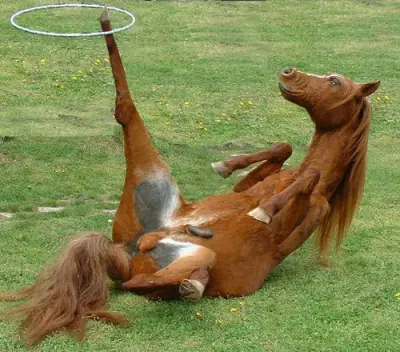 horse meme template