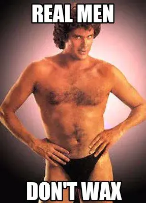 Hasselhoff meme template