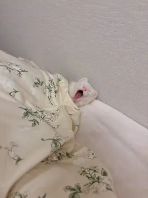 GOOD MORNING meme template