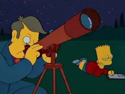 Skinner meme template