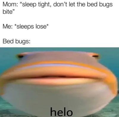 c05 meme meme template