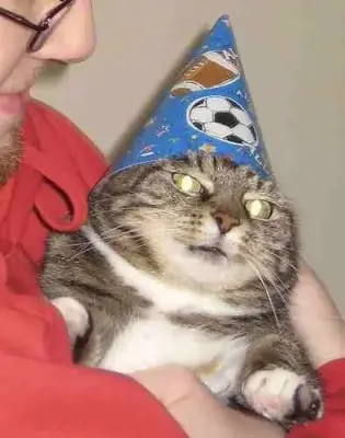 Wizard Cat meme template