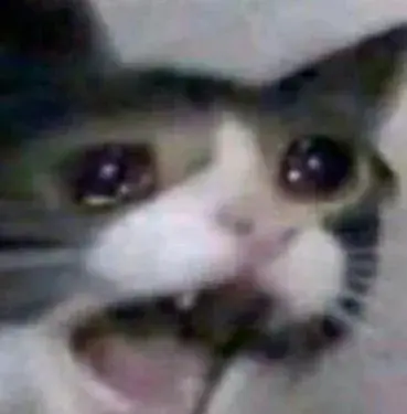 Crying/Screaming Cat meme template