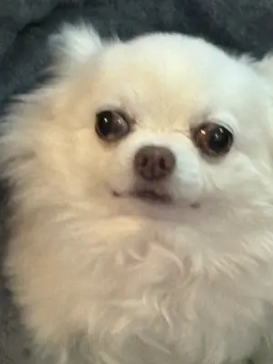WHEN YOU FART  - IN PUBLIC meme template