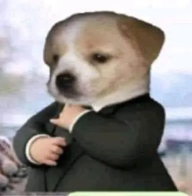 MUCHAS GRACIAS POR SU ATENCION — CUALQUIER PREGUNTA AL PROFESOR OMAR meme template