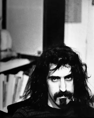"THE UNITED STATES IS A NATION OF LAWS, BADLY WRITTEN AND RANDOMLY ENFORCED." - FRANK ZAPPA meme template
