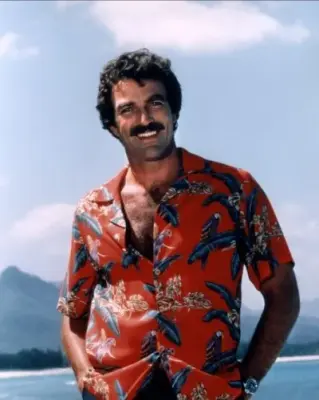 Magnum PI meme template