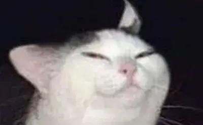 plss meme template