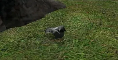 Pigeon meme template