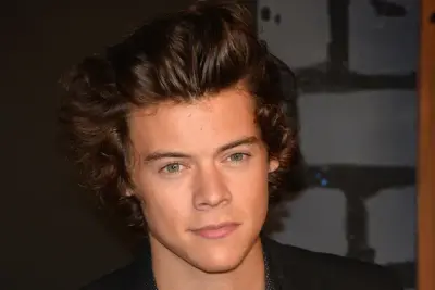 Harry Styles meme template