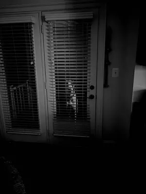 DO YOU FEEL SAFE IN YOUR HOUSE RN — YOU SHOUDNT meme template