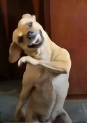 ME WHEN THE TEACHER FINALLY - GIVES BACK THAT ONE ASSIGNMENT FROM 3 CENTURIES AGO meme template