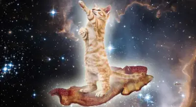 caturday meme template
