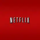 Netflix meme template