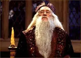dumbledore meme template