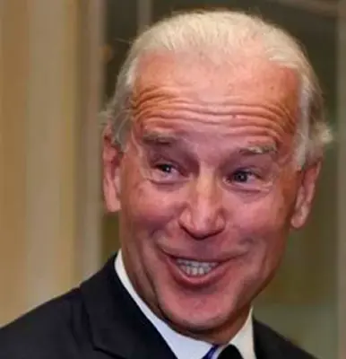 Joe Biden meme template