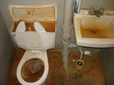 THE BATHROOM AFTER EVERETT GETS BACK meme template