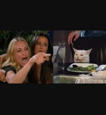 Lady Screaming At Cat meme template