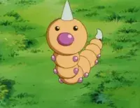 Weedle meme template