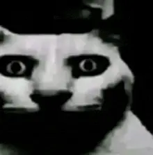 WHEN I USE THE SCHOOL TOILETS TO SKIP CLASS BUT WHEN I COME BACK I ACTUALLY NEED TO GO TO THE TOILET meme template