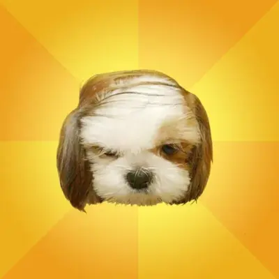 Comb Over Puppy meme template