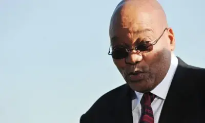 Zuma meme template