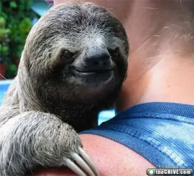 Creepy sloth meme template