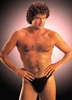 Hasselhoff meme template