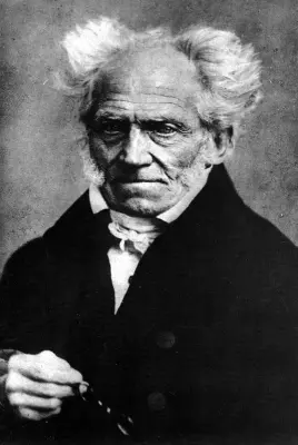 schopenhauer meme template